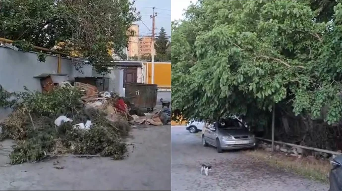 Bu küçədə nə zibil yığışdırılır, nə də ağaclar budanır - ŞİKAYƏT – VİDEO